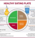Harvard Proposes Its Own Healthy Eating Plate Instead of USDA’s MyPlate