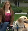 Assistance Dogs Provide Wonderful Help for Those with Limited Mobility