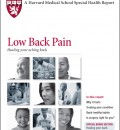 Harvard Issues Updated Report on Low Back Pain: Healing Your Aching Back