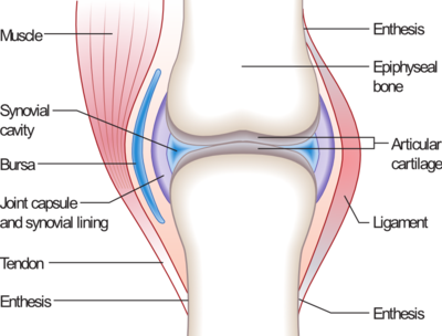 National Arthritis Action Month Focuses on What You Can Do to Prevent or Manage this Common Condition