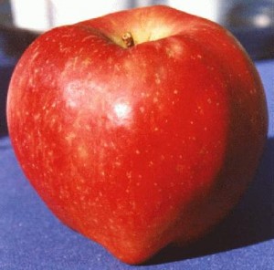 An Apple a Day May Help Build Muscles & Fight Obseity and Diabetes