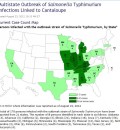 Salmonella Outbreak in 21 States Linked to Canteloupe Grown in Indiana